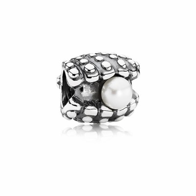 Pandora One of a Kind Shell Charm