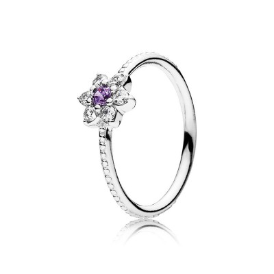 Pandora Forget Me Not, Purple & Clear CZ