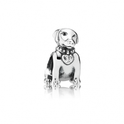 Pandora Labrador, Clear CZ