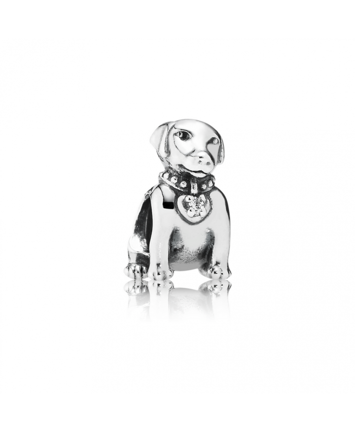 Pandora Labrador, Clear CZ