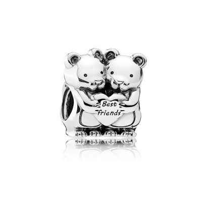 Pandora Best Buddies Charm